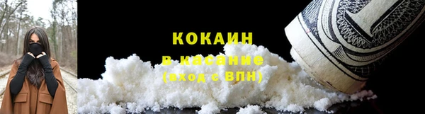 эйфоретик Гусев