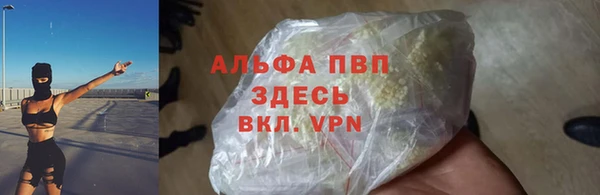 эйфоретик Гусев