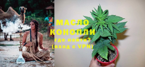 эйфоретик Гусев